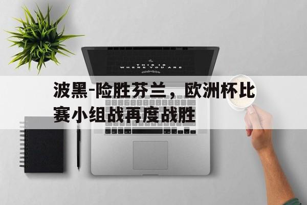 金年会官方下载-波黑-险胜芬兰，欧洲杯比赛小组战再度战胜